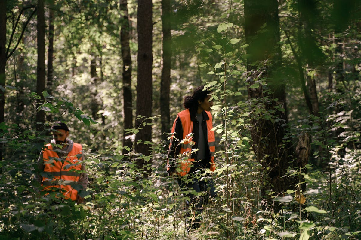 gestion d’équipe nature et découverte - Les particularités de la gestion d’équipe chez Nature et Découverte
